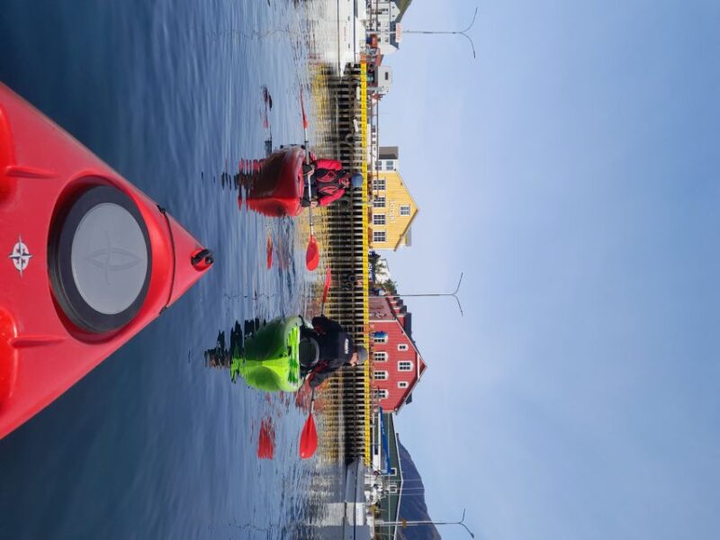Siglufjörður / Siglufjordur: Guided kayak tour. - Returning to Siglo Sea HQ and Post-Tour Recommendations