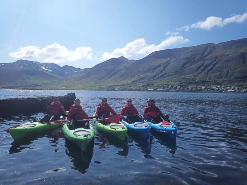 Siglufjörður / Siglufjordur: Guided kayak tour. - Physical Requirements and Accessibility Considerations