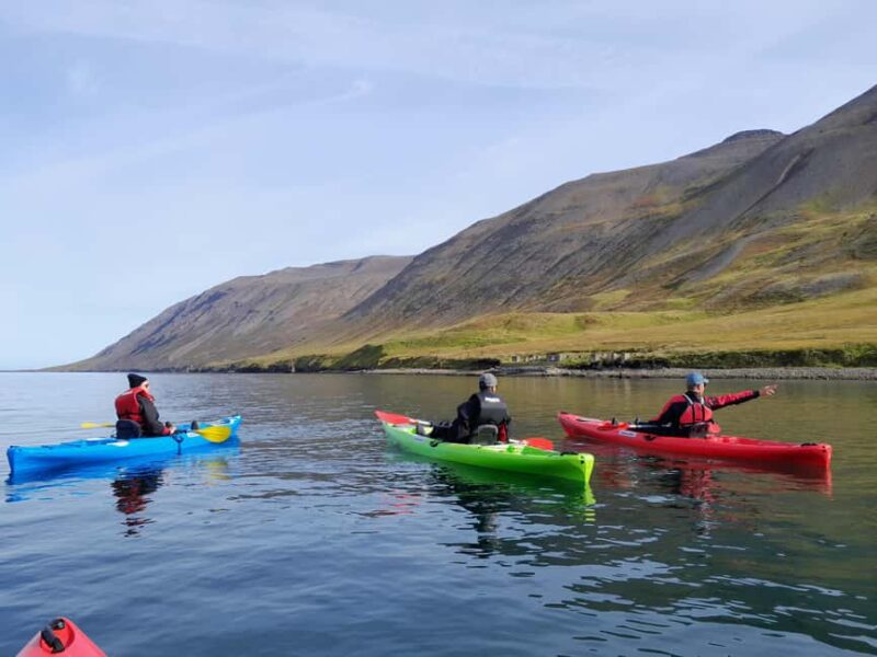 Siglufjörður / Siglufjordur: Private Guided kayak tour. - The Chance to Spot Curious Seals in Siglufjordur