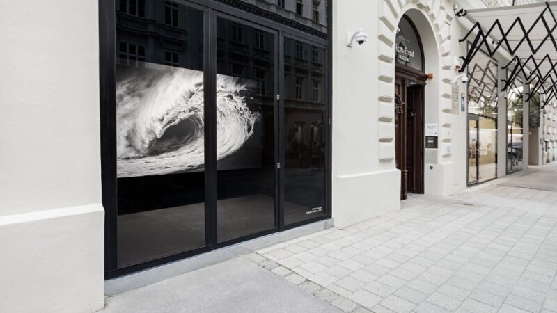 Sigmund Freud Museum Ticket - Key Points