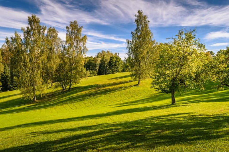 Sigulda Day Tour - Castle Ruins, Gtmaala Grotto, & More - Overall Value and Suitability