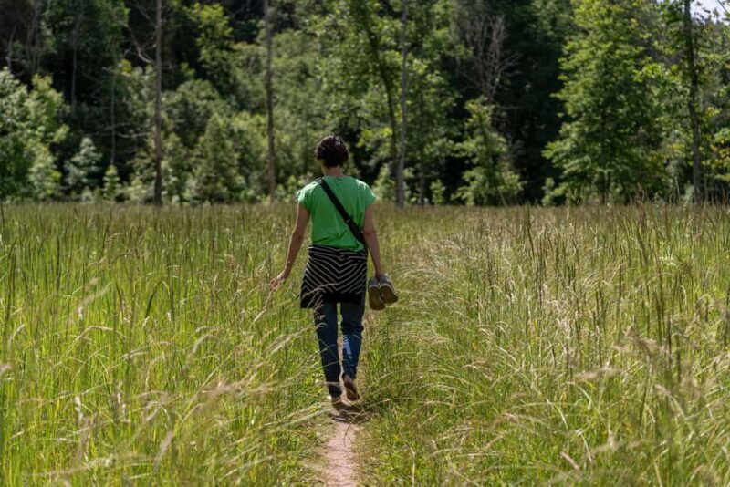 Sigulda: Walk in Gauja National Park with Photoghrapher - Key Points