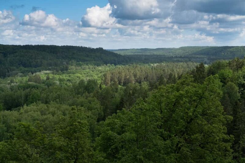 Sigulda: Walk in Gauja National Park with Photoghrapher - Discover Gauja National Park with a Professional Photographer