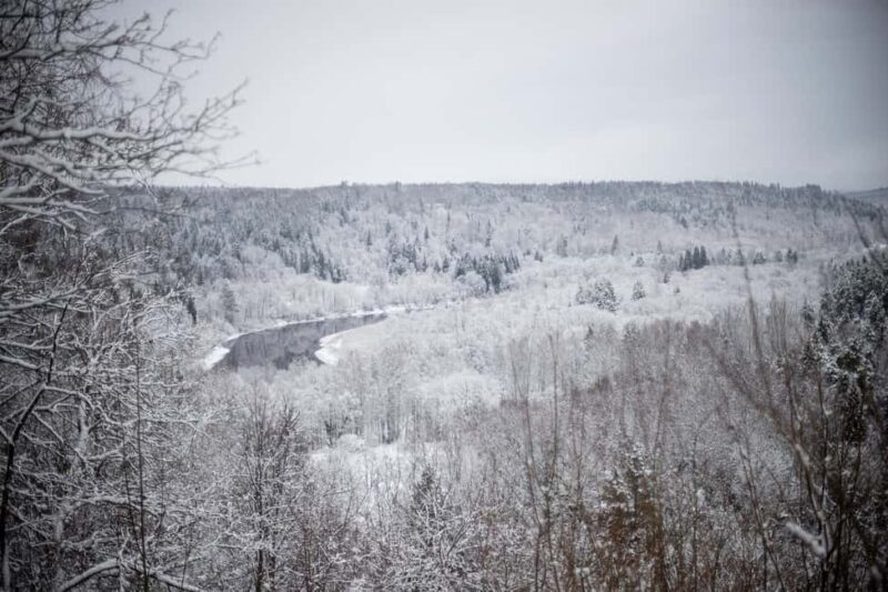 Sigulda: Walk in Gauja National Park with Photoghrapher - The Expertise of Guide Valdis and Multilingual Support