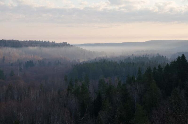 Sigulda: Walk in Gauja National Park with Photoghrapher - Booking, Cancellation, and Flexibility
