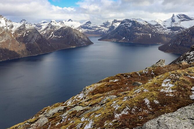 Silent Coastal Cruise to Kjerringøy - Departure Point at Sjøgata 37 in Bodø