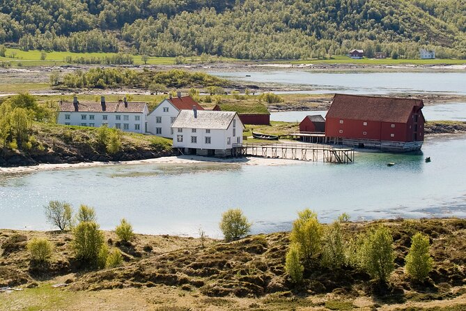 Silent Coastal Cruise to Kjerringøy - The Overall Cruise Experience with Highlights and Limitations