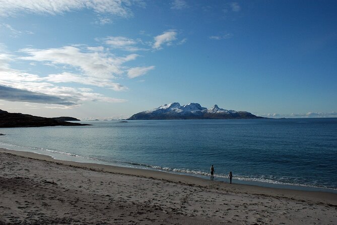 Silent Coastal Cruise to Kjerringøy - Practical Details: Booking, Weather, and Accessibility