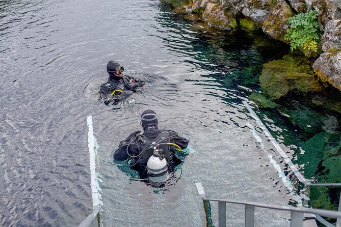 Silfra: Diving Between Tectonic Plates and Pick Up from Reykjavik - The Experience of Swimming Between Tectonic Plates