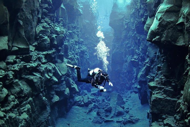 Silfra: Diving Between Tectonic Plates and Pick Up from Reykjavik - Post-Dive Warm-up and Refreshments