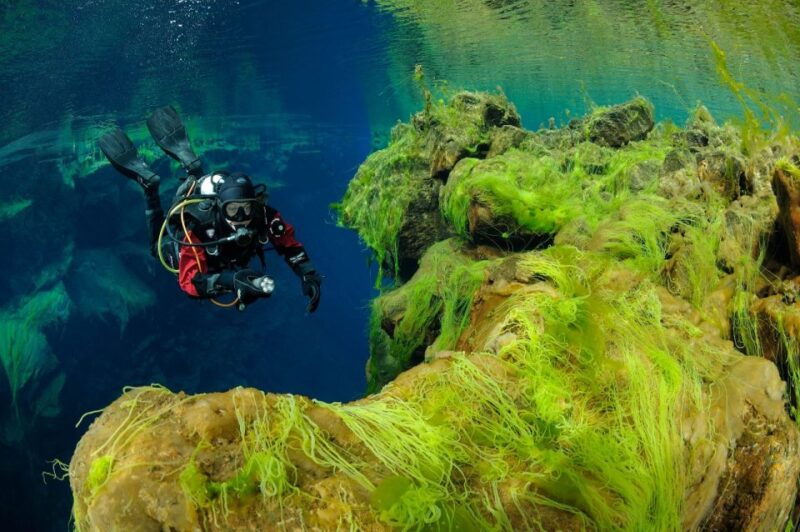 Silfra: Diving Between Tectonic Plates - Essential Equipment and Safety Precautions