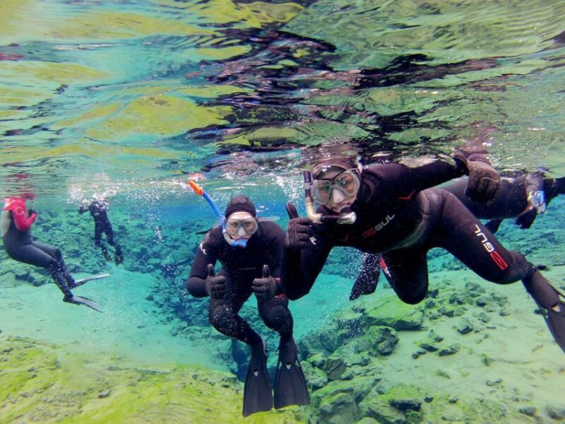 Silfra: Half-Day Snorkeling Day Trip with Underwater Photos - The Scenic Underwater Landscape and Visibility