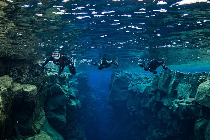 Silfra: Snorkeling Between Tectonic Plates Pick Up from Reykjavik - The Food and Beverage Offerings