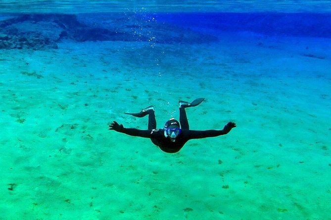 Silfra Wetsuit Snorkeling Tour with Underwater Photos - From Reykjavik - Post-Snorkel Warm-Up and Photo Delivery