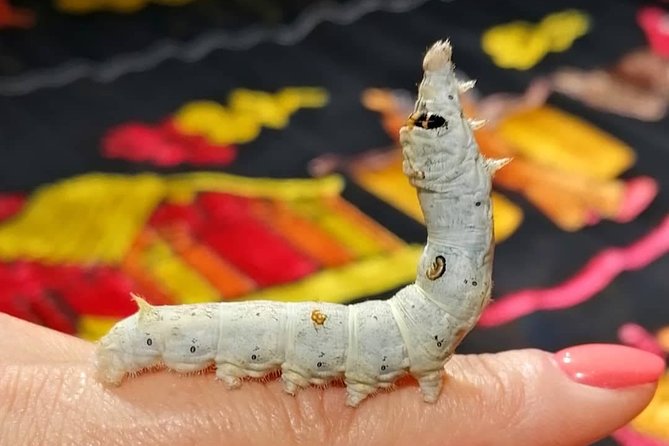 Silk Tour in Lyon - Hand-Painted Velvet Demonstration at Brochier Soieries Vieux Lyon