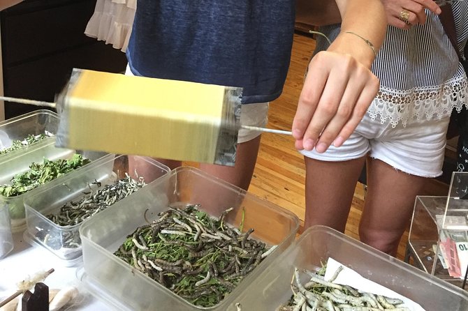 Silk Tour in Lyon - Silkworm Exhibition and Seasonal Highlights