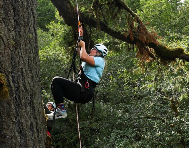 Silver Falls: Old-Growth Tree Climbing Adventure - Timing and Pacing of the Tour