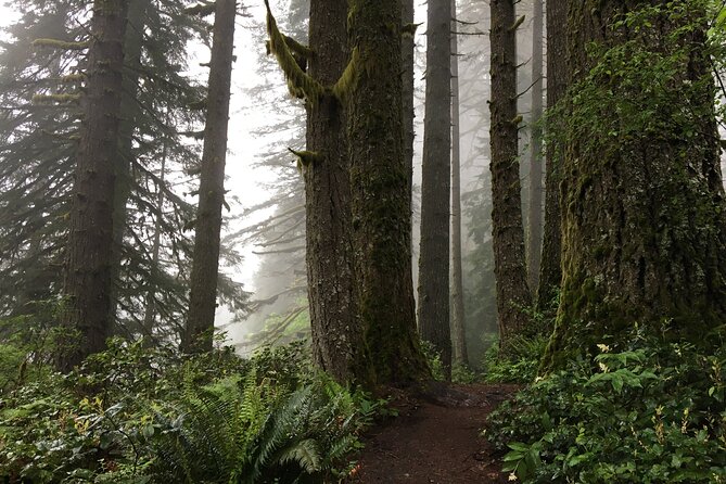 Silver Falls Waterfall Hiking Tour from Portland - The Guides: Knowledgeable and Friendly