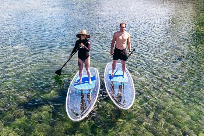 Silver Springs: Clear Kayak Wildlife Adventure - The Experience of Small Group Guided Tours