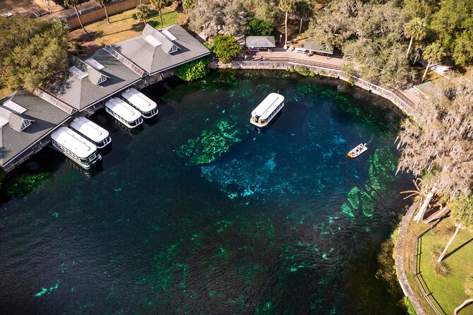 Silver Springs: Clear Kayak Wildlife Adventure - Safety and Physical Requirements on the Silver Springs Tour