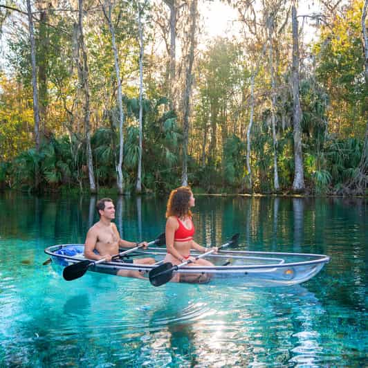 Silver Springs: Clear Kayak Wildlife Tour - The Sum Up: A Relaxed and Educational Wildlife Paddle in Florida