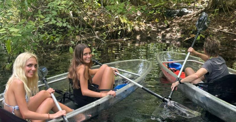 Silver Springs: Guided Clear Kayak or Paddleboard Gator Tour - What Makes the Silver River Paddle Experience Unique