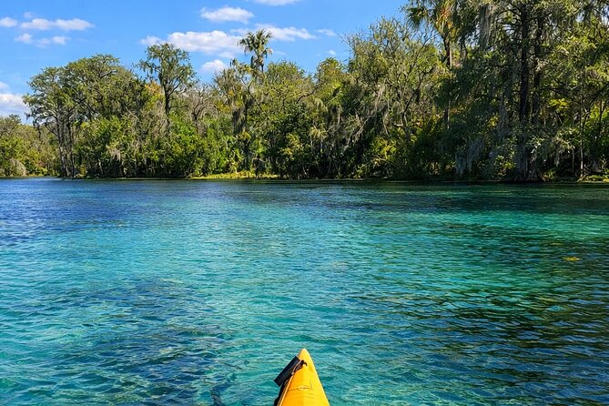 Silver Springs Guided Kayak Tour with Orlando Pick Up - Physical Requirements and Accessibility