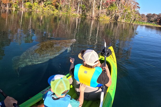Silver Springs Guided Kayak Tour with Orlando Pick Up - Pricing, Cancellation, and Practical Tips