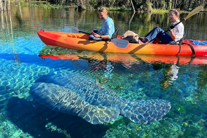 Silver Springs Jungle Kayaking and Paddleboarding - Wildlife Encounters and Natural Highlights