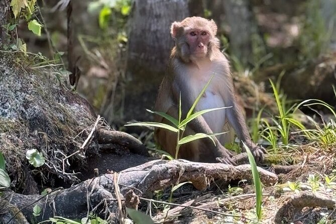 Silver Springs Jungle Kayaking and Paddleboarding - Equipment and Safety Features Provided