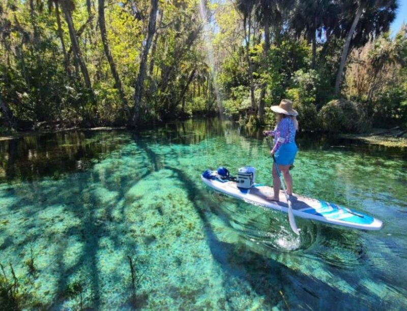 Silver Springs: Manatees and Monkeys Clear Kayak Guided Tour - Wildlife Encounters: Manatees, Monkeys, and More