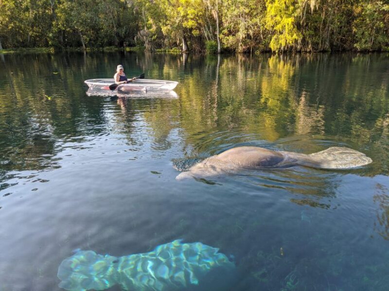 Silver Springs: Manatees and Monkeys Clear Kayak Guided Tour - Physical Requirements and Accessibility