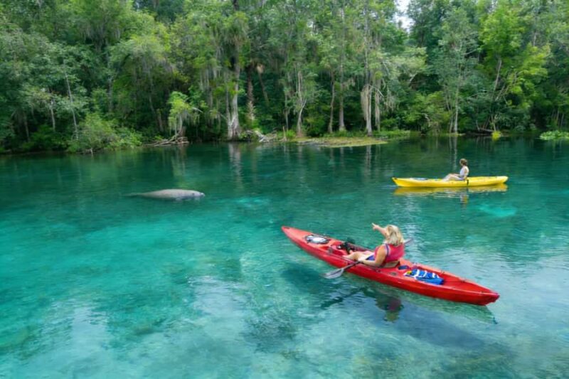 Silver Springs Orlando: Small Group Manatee Season Day Trip - Starting Point and Transportation from Orlando
