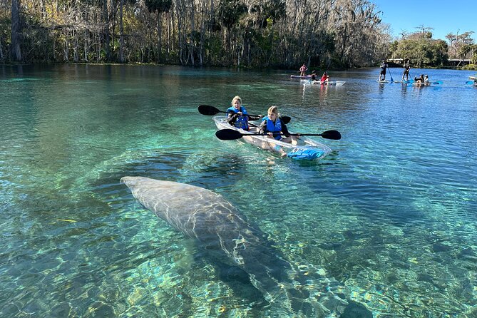 Silver Springs Self Guided Clear Kayak Rentals - Experience the Beauty of Silver Springs State Park in a Self-Guided Clear Kayak
