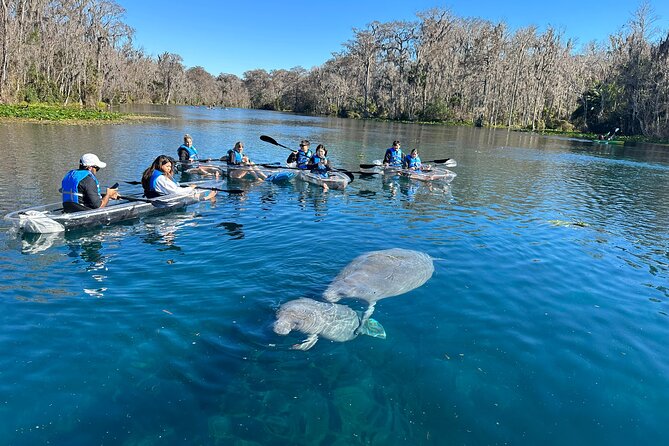Silver Springs Self Guided Clear Kayak Rentals - Embarking on the Self-Guided Kayak Adventure