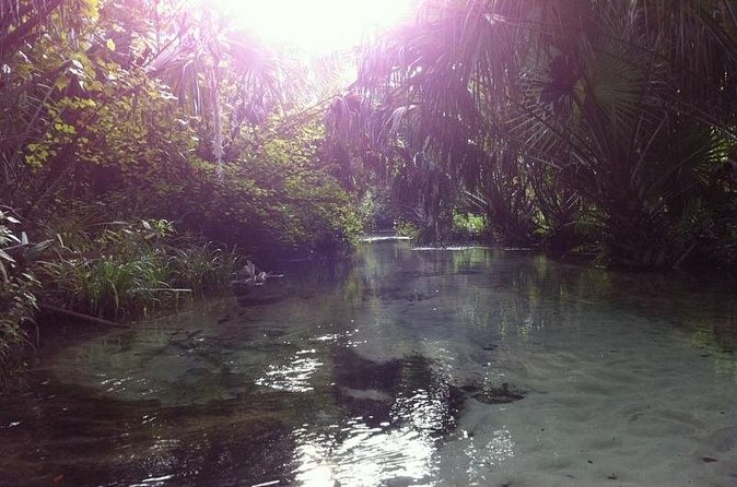 Silver Springs Self Guided Clear Kayak Rentals - The Main Spring and Final Stop