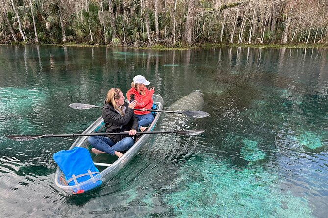 Silver Springs Self Guided Clear Kayak Rentals - Logistics: Meeting Point and Departure Details