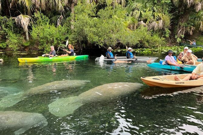 Silver Springs Self Guided Clear Kayak Rentals - Value and Booking Information