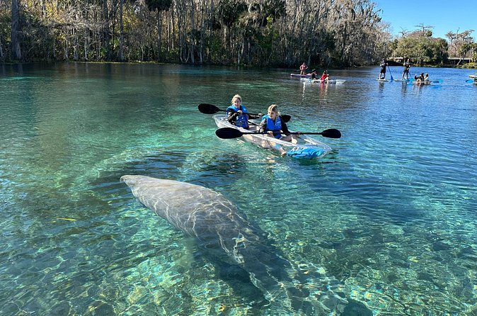 Silver Springs Self Guided Clear Kayak Rentals - The Experience of Paddling at Your Own Pace