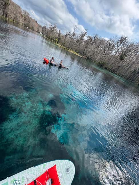 Silver Springs: Silver River Guided Kayak Tour - Discover the Silver River Guided Kayak Tour in Florida