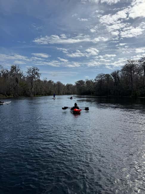 Silver Springs: Silver River Guided Kayak Tour - The Importance of Eco-Friendly Practices
