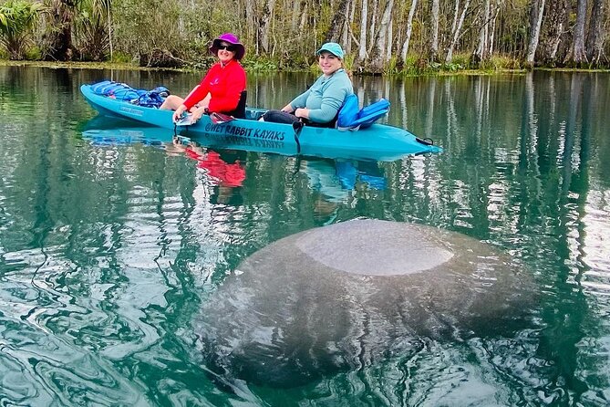 Silver Springs Wildlife Tour - Glass Bottom Kayaks - What to Bring and What Not to Bring on the Tour