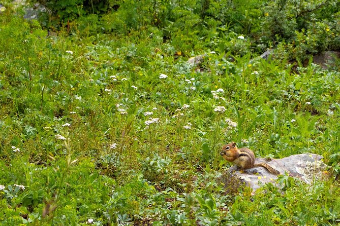 Silverton Half Day Jeep Tour - The Importance of Weather and Booking in Advance