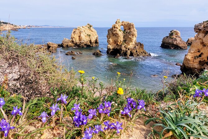 Silves and Albufeira (NEW) - Visiting Silves: The Moorish Capital with Orange Groves