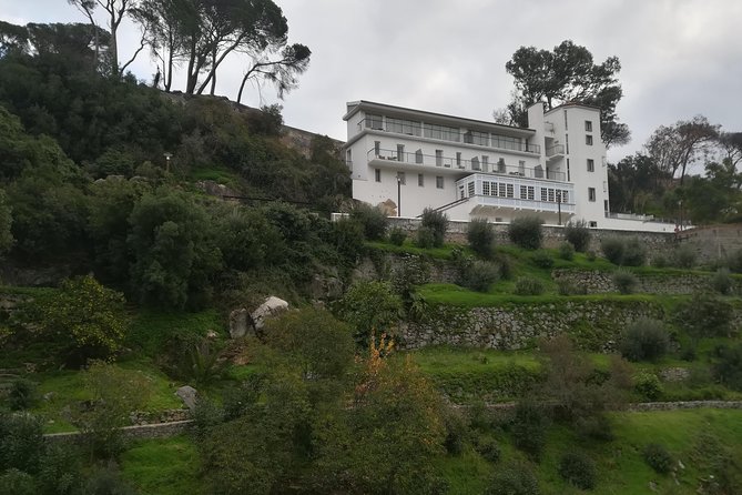 Silves and Monchique Full Day Bus Tour - The Scenic Peak of Fóia: The Algarve’s Tallest Mountain