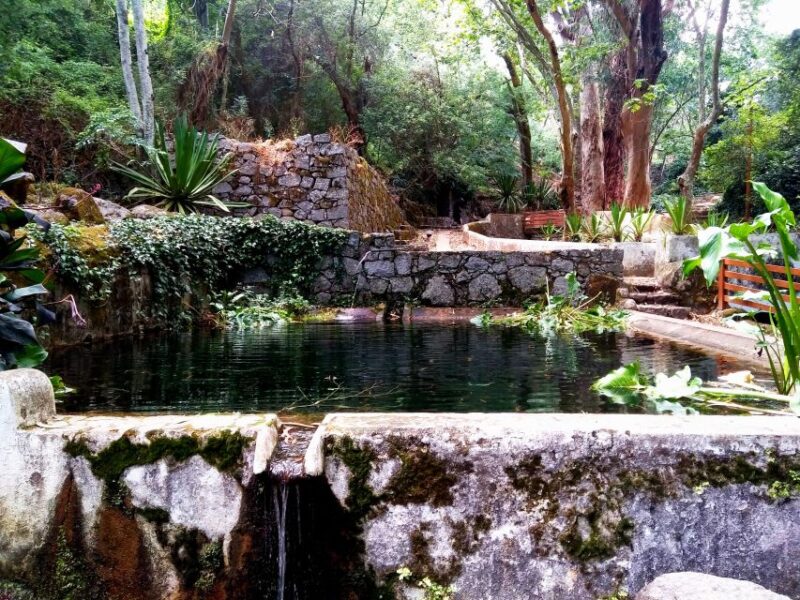 Silves, Caldas and Monchique Wine Tasting: Full Day Tour - Wine Tasting at a Local Winery: Relaxing Finish to the Day