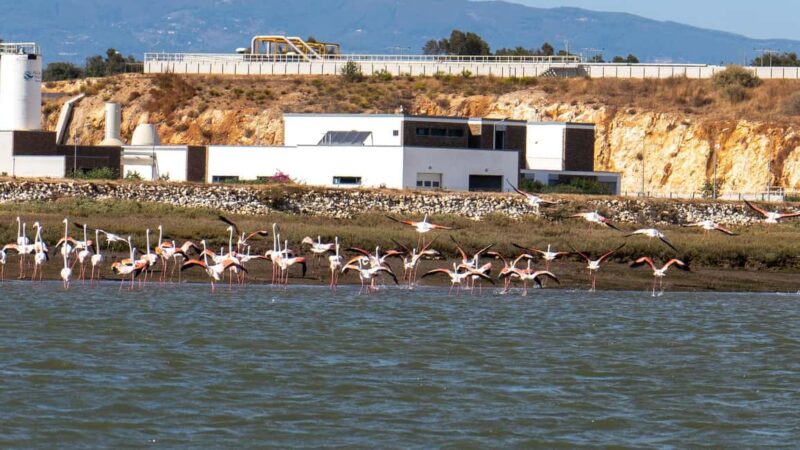 Silves History - Nature Boat Tour - free drink and Port wine - Why This Tour Suits the Right Visitors