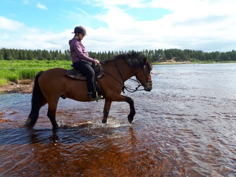 Simo: Private 2-Hour Horseback Riding Tour - Equipping Riders for the Cold Lapland Weather