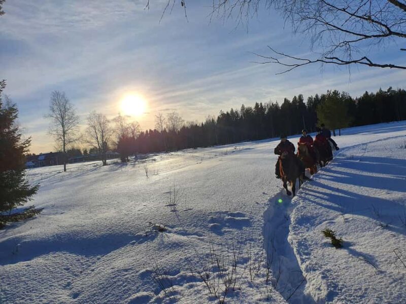 Simo: Private 2-Hour Horseback Riding Tour - Practical Details and Logistics of the Horseback Tour