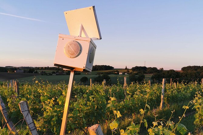 Simple Visit to Discover the Domaine d'Arton - Key Points